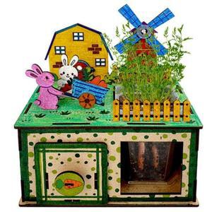 [XBHH324K]뿌리식물 관찰정원 만들기 봄 화분 씨앗