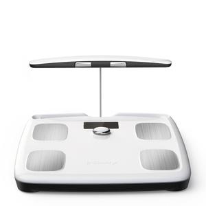 인바디 InBodyFit NEW 가정용 체중계 체지방계