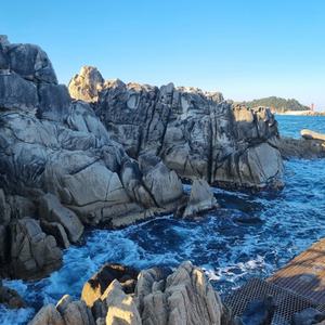 [겨울의 맛여행] 고성 건봉사/송지호수/서낭바위/능파대/청간정(중식포함) 당일