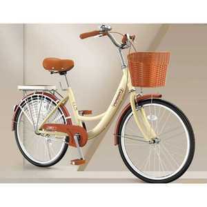 20인치 자전거 바구니 경량 레트로 여성 출퇴근 통근