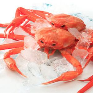 해정상회 울진 후포항 붉은대게 5미 (1.7kg내외)