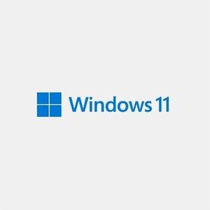 마이크로소프트 Windows 11 Pro FPP (처음사용자용 한글)