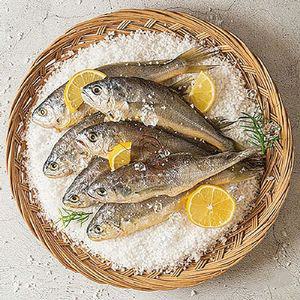 진짜 영광 법성포 가정용 굴비 20미 (총 1kg)