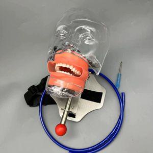 실습용 치과 마네킹 더미 구강 치위생사 교구 교보재 남성 연습 연습용 실리콘 인형 얼굴