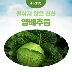 국산 진한 양배추즙 100ml 50포 순수건강원 건강즙 엑기스 과채주스