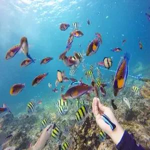 [출발확정] 세부 자유여행 5일 #왕복항공권 #여행자보험 #호텔불포함