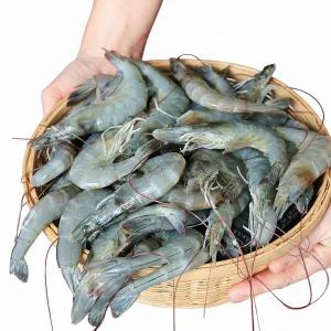 빌리푸드 군산 산지 자연산 급냉 대하 새우 1kg