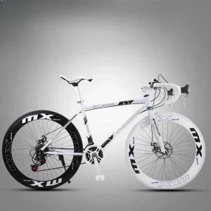자전거 클래식 입문용 접이식 싸이클 흰색 초경량