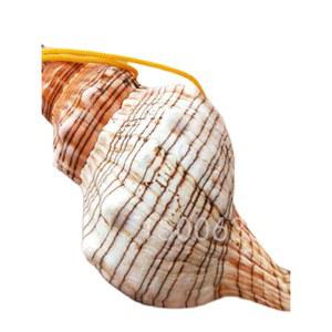 나각 뿔피리 대형 뿔나팔 10 12cm 선물 장식품 호루라기 국악기 여행 조개 공예