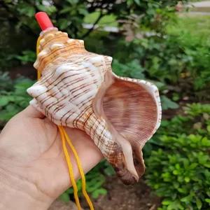 나각 뿔피리 국악기 뱃고동 고동 뿔소라 껍질 뿔나팔