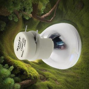 범용 호환성 PJD6253 PJD6383 프로젝터 viewsonic P-VIP 240/0.8 E20.8 베어 전구