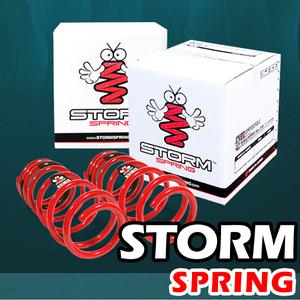 (스톰)다운스프링-팰리세이드/앞뒤 1대분/2륜/4륜/곰스피드