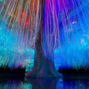 [평창] 2025 모나용평 이나트 전시 입장권 연말 특가 (~26/2/15)