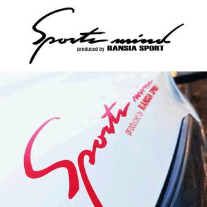 레터링 포인트 본넷 자동차 스티커 /엠블럼 데칼 차량용 튜닝 스크래치 차량 흠집 스크래치 차량 반사 데코