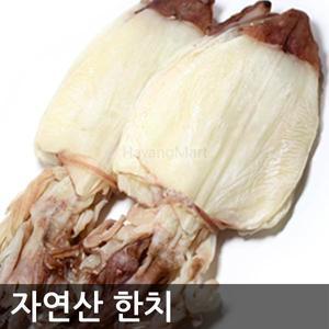 자연산 한치 1kg 20미/25미/30미/40마리