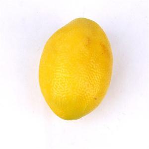 모형레몬 모조 인조 가짜 과일 매장 장식 소품 진열 미술 수업 교재