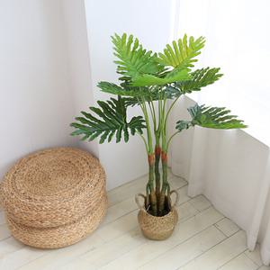 인테리어 조화나무 인조나무 화분 셀로움 105cm