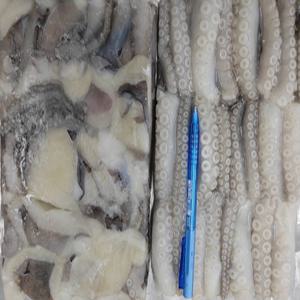 프라임 절단낙지 500gr / 냉동 활낙지 3마리, 4마리, 5~6마리, 7~8마리 (850gr)