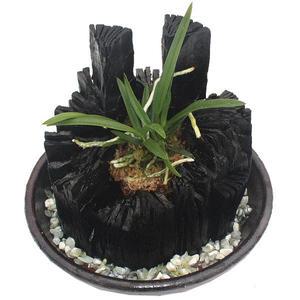 [황금뒤주] 숯부작 백탄 옹기수반 천연 미니가습