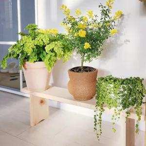 히노끼 편백나무 화분정리대 대형 화분선반 받침대