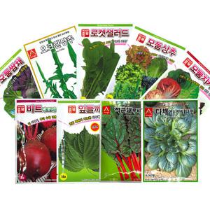 씨앗모음 적상추 청치마 상추 배추 쑥갓 쌈 채소 다채 비트 깻잎 루콜라 치커리 겨자 적근대 로메인 씨앗