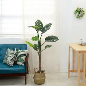 인조나무 조화 화분 내츄럴라인 몬스테라 130cm