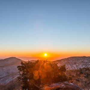 [강원] 12월31일 출발! 리무진버스 - 태백산 일출 눈꽃트래킹 무박