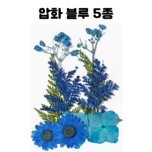 레진 공예 아트 재료 믹스 블루 압화 드라이 플라워