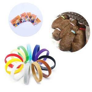 반려 동물 강아지 고양이 애완견 새끼 출산 출생 식별 구별 구분 컬러 밴드 태그 이름표 목밴드 인식표