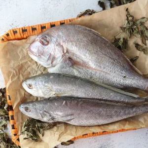 반건조 제수용 생선세트(참돔+민어+조기)