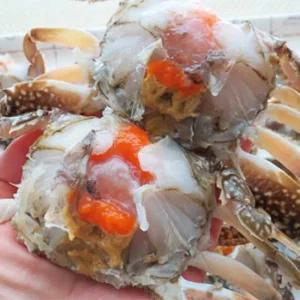 서해안 몽당 암꽃게 2kg/12~13/미당 170g내외