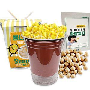 (5인세트)두두엠 콩나물 키우기 (관찰일지포함)
