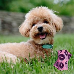 반려동물 산책 외출 용품 배변 봉투 위생적인 처리 택1