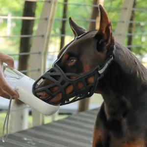 훈련용 산책 반려견 물림 입마개 짖음 방지/강아지/애견/개/방지기/대형견/소형견/마스크