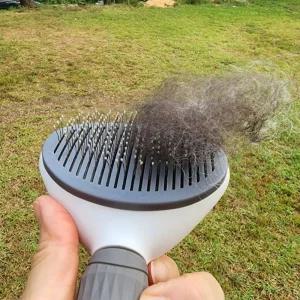 원터치 브러쉬/털빗/고양이/부러쉬/솔브러쉬/펫브러쉬/강아지/얼굴빗/털관리/애견/휴대용/단모빗/대형견