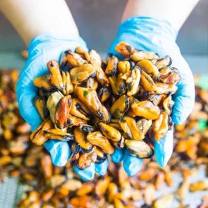 남해 손질 건조 홍합 1kg