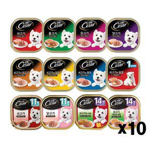 시저캔 100g X10개 애견 통조림간식 습식 주식캔 영양 애견간식 강아지간식 살코기캔 강아지캔 영양간식