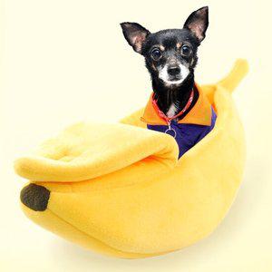 강아지 고양이 바나나 집 고양이집 아늑한침대 부드러운강아지침대 고양이방석 스펀지침대