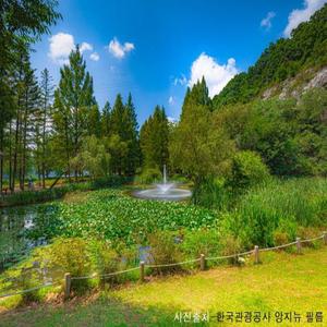 [KTX-당일]안동시티② 월영교+미스터션샤인 만휴정+낙강물길공원