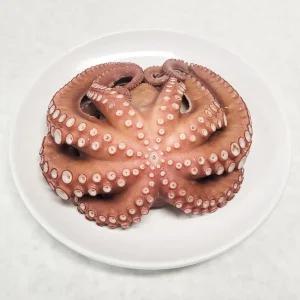 국내산 자연산 활 문어 돌문어 2KG 제수용 자숙 세척