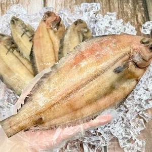 국산 동해 반건조 기름 가재미 마른 납세미 말린 기름가자미 10미