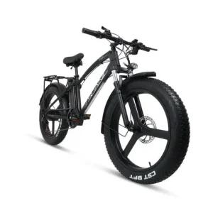 AU테크 전동자전거 자토바이 스카닉 F100 48V 산악자전거