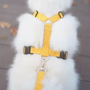 [골드스마일]H형 하네스 리드줄 산책용품 가슴줄 버클 사이즈조절