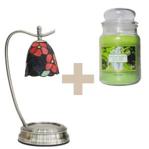 몬스데코 페탈리캔들+쥬드아 빛조절 캔들워머 세트