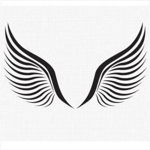 D24 날개03 대형 데칼스티커 TKL-18 활용도높은 편리한 튜닝스티커 꾸미기 자동차튜닝