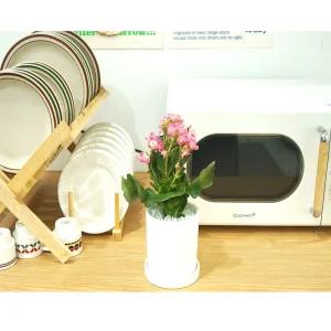 [아이온리] 꽃이 예쁜 식물 카랑코에 / 스노우화이트 화분 10cm 완제품 / 집들이 승진 개업 축하 꽃 식물 추천