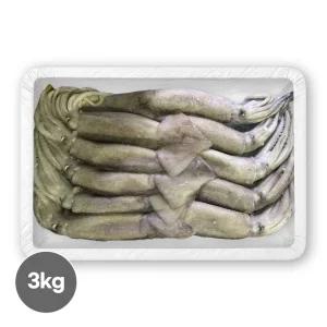 냉동 베이트 오징어 3kg 육동 오징어 통오징어 업소용 가정용