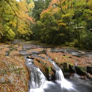 [딱2주만특가][큐슈로] 단풍빛 가을부터 눈부신 겨울까지 후쿠오카 리조트+온천 3일(가이세키포함 특식5회+간식3회+노미호다이특전)