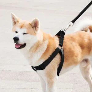 [골드스마일]대형견 하네스 리드줄 세트 XS 사이즈조절 목줄 안전