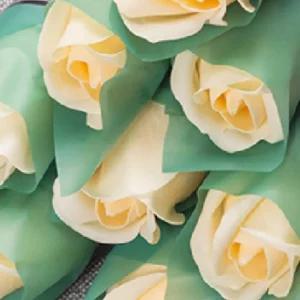 비누 장미꽃 한송이 10P 개별포장 졸업식 기념일 단체 선물